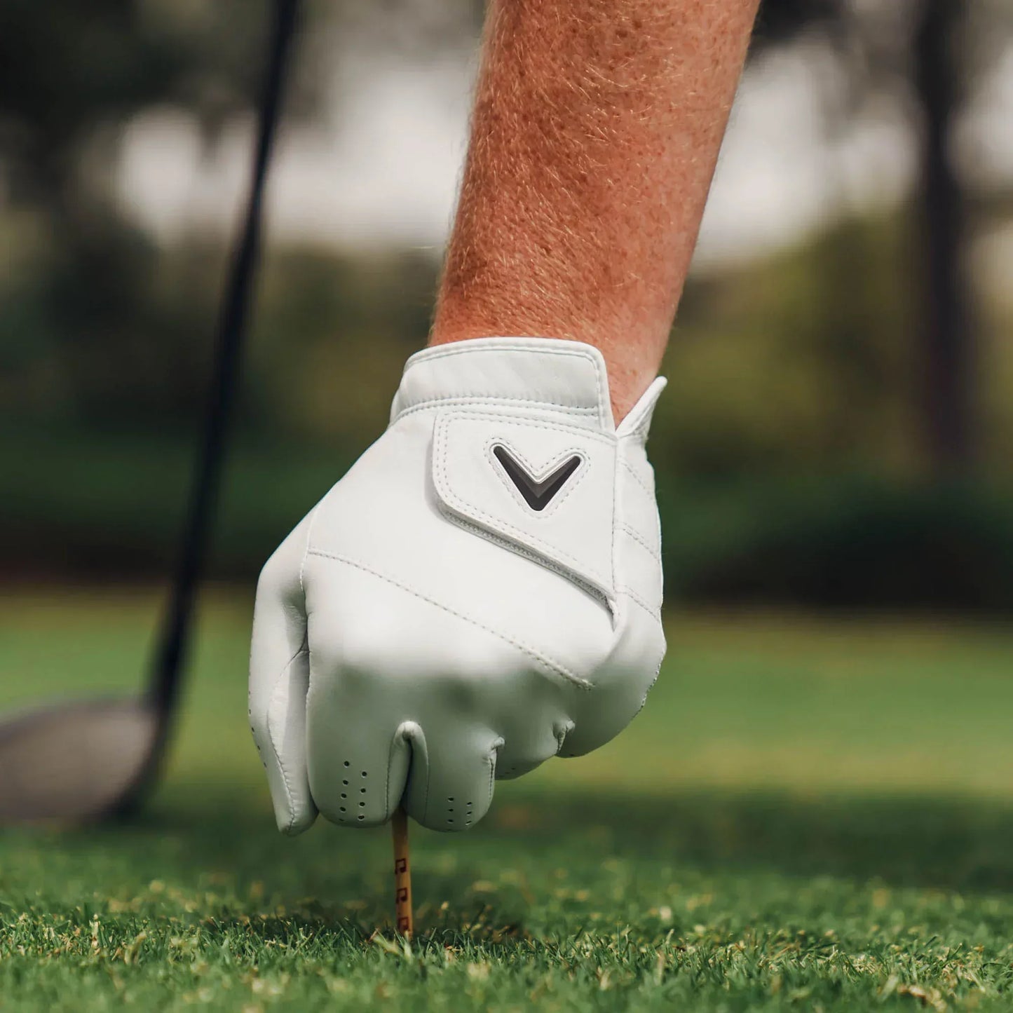 Callaway 2025 Tour Authentic Golf Glove - GOLF LEAGUE