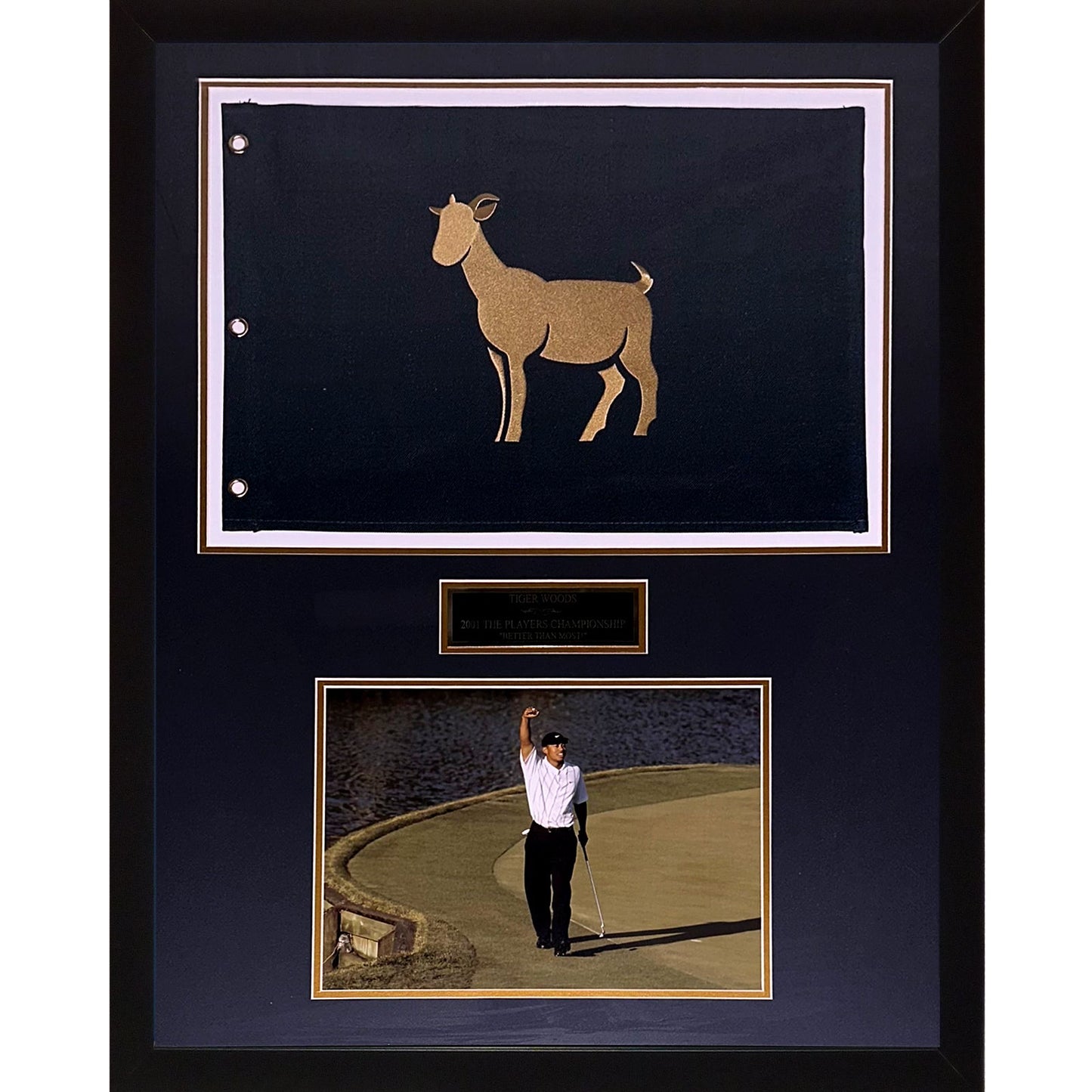 Tiger Woods TPC The Players Championship GOAT Flag Deluxe Framed with 11x14 Photo Better Than Most