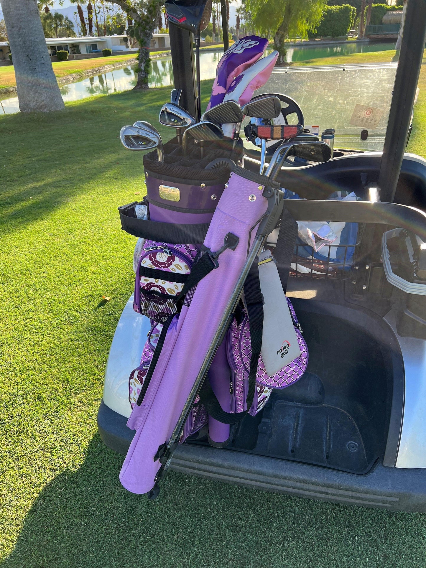 Purplepurple - GOLF LEAGUE