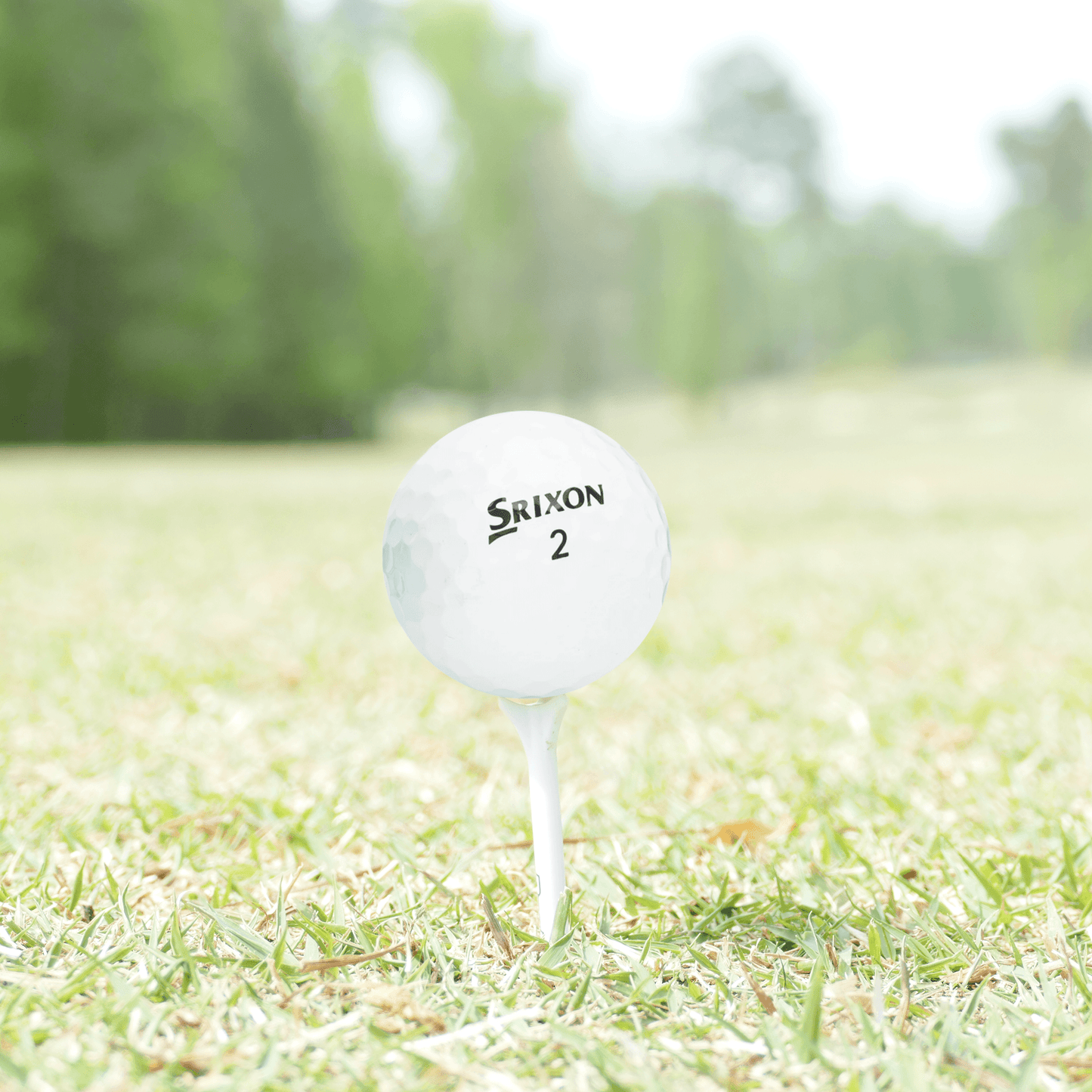Used Srixon Mix Golf Balls - Mesh Bag