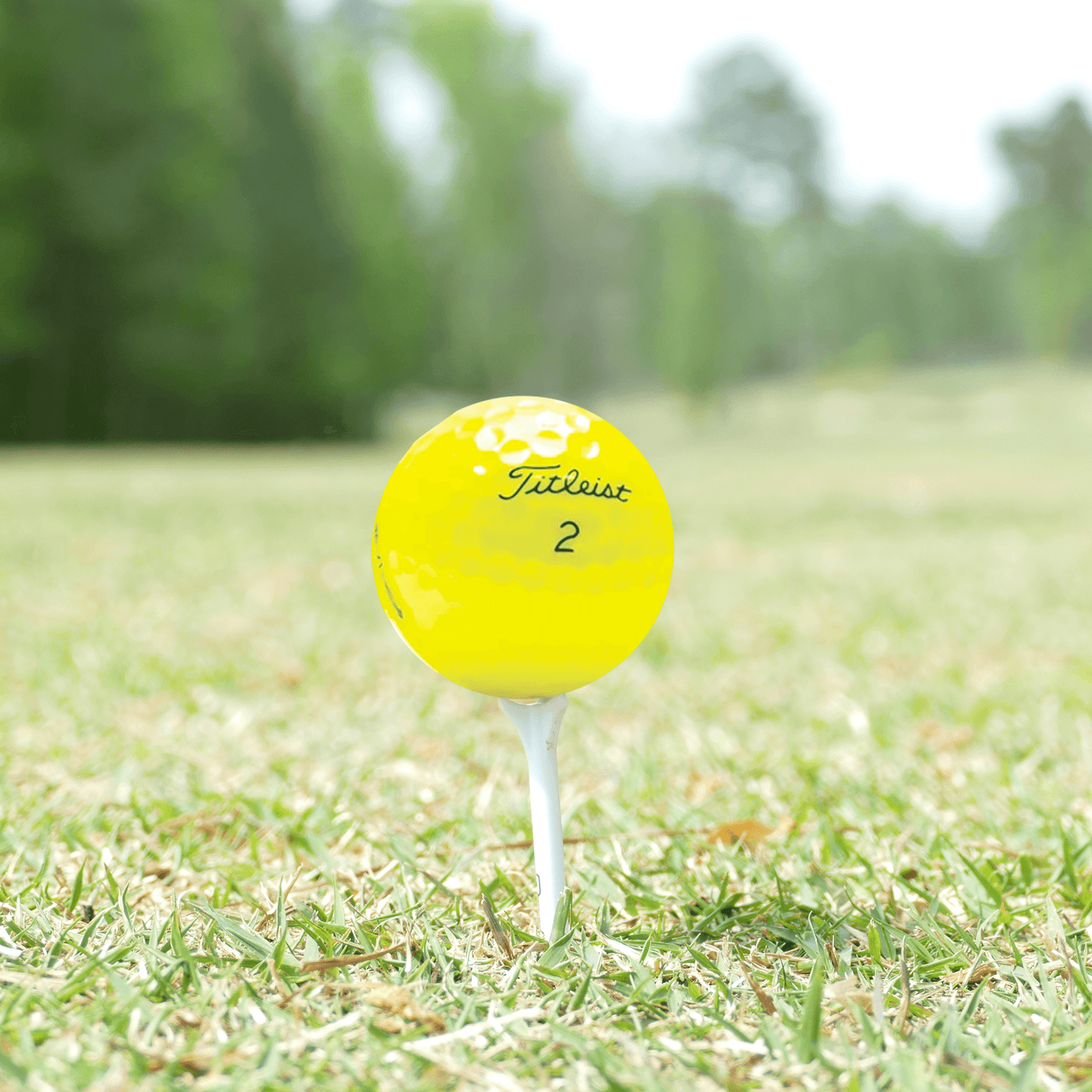 Used Titleist Pro V1 Yellow Mix Golf Balls - 1 Dozen