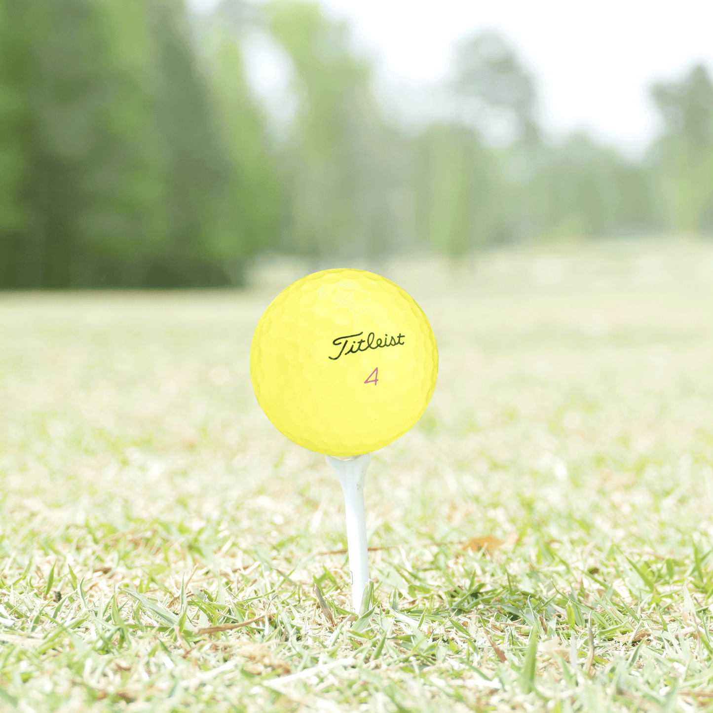 Used Titleist Pro V1x Yellow Mix Golf Balls - 1 Dozen