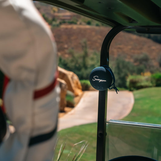Swingman Magnetic Speaker