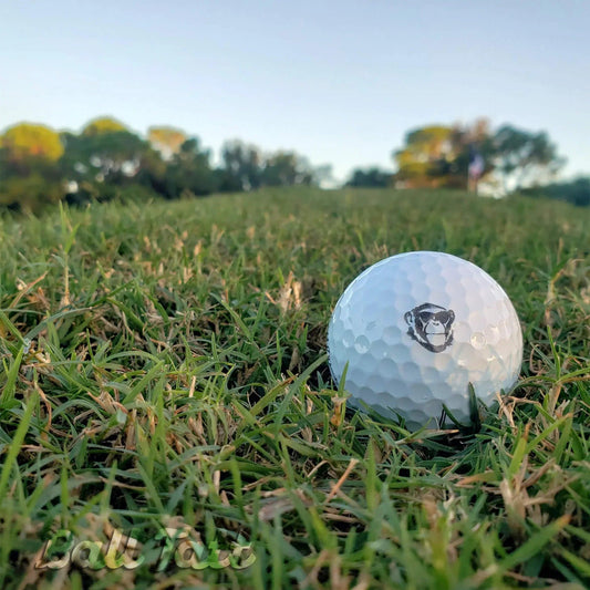 chimpanzee-ball-tatt-golf-course - GOLF LEAGUE