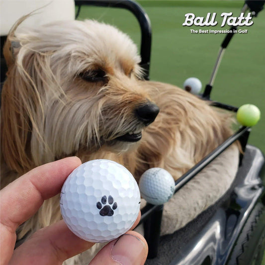 dog-paw-ball-golf-car-logo - GOLF LEAGUE