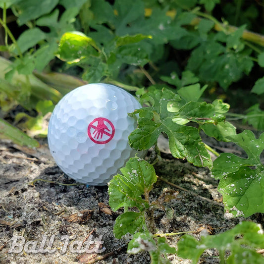 dont-touch-ball-tatt-golf-course - GOLF LEAGUE