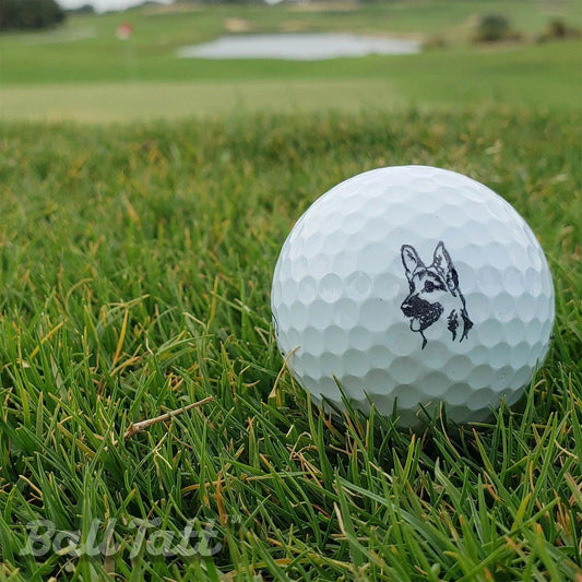german-shepherd-ball-tatt-fairway - GOLF LEAGUE