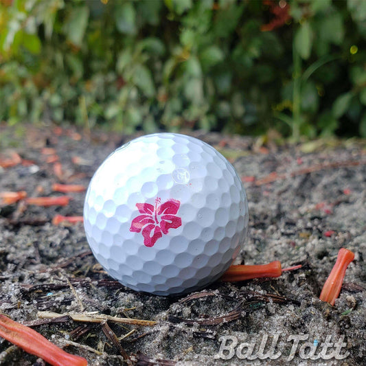 hibiscus-ball-tatt-on-golf-course - GOLF LEAGUE