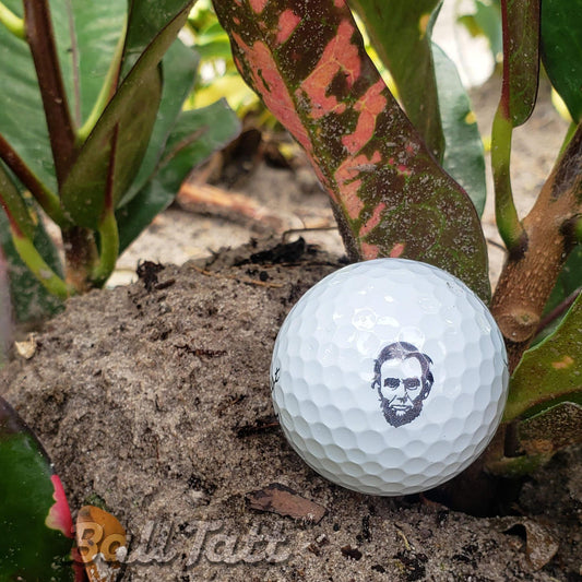 honest-abe-in-rough_e9e91c75-6b9f-47e2-93c4-34070a5cf8e8 - GOLF LEAGUE