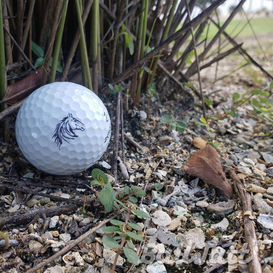 horse-ball-Tatt-ball-bush-course - GOLF LEAGUE