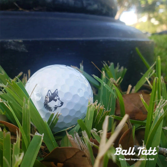 husky-dog-ball-tatt-golf-ball-stamp-golf-course - GOLF LEAGUE