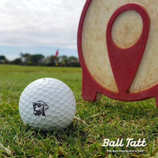 labrador-dog-ball-tatt-next-to-tee - GOLF LEAGUE