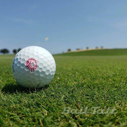lion-ball-tatt-golf-ball-fairway - GOLF LEAGUE
