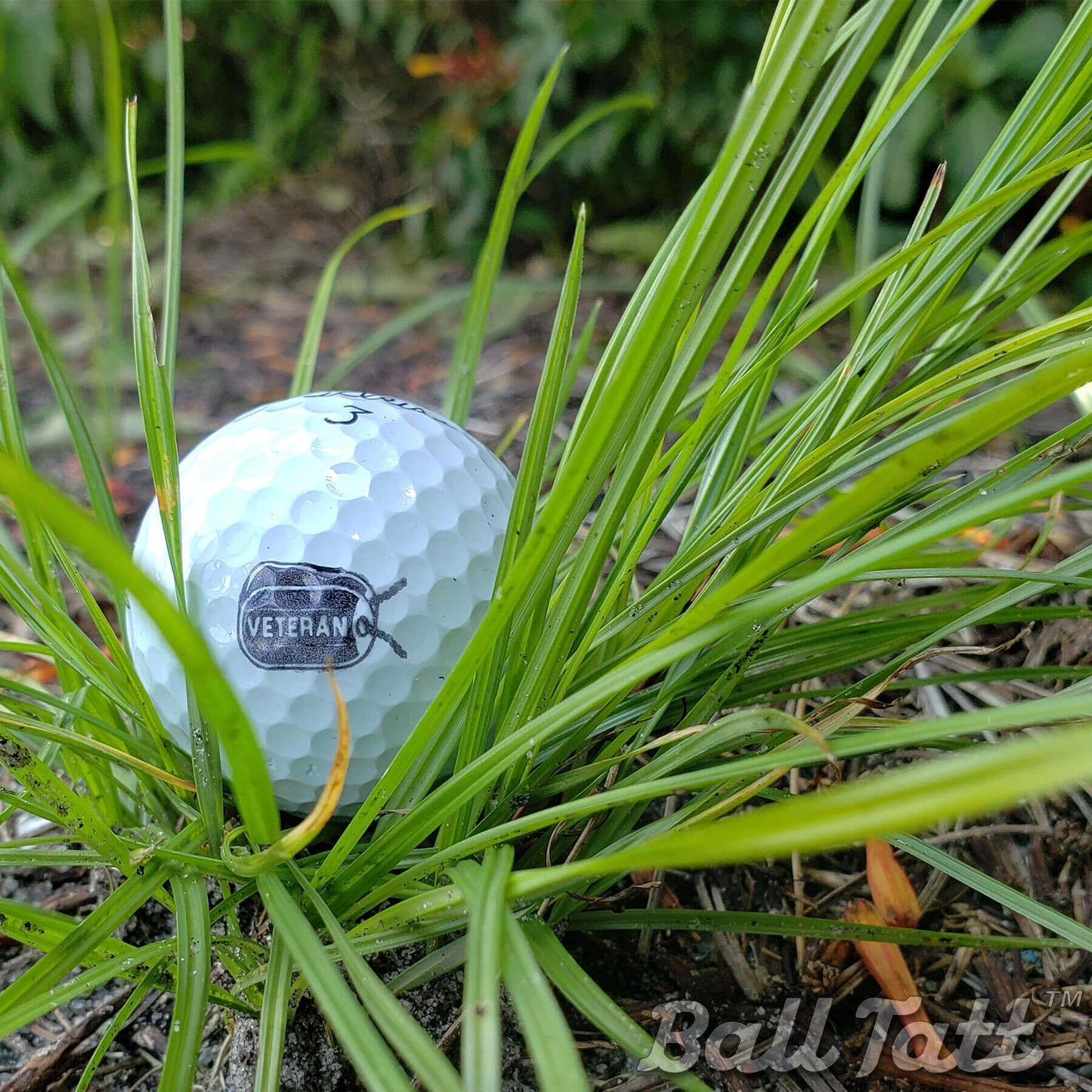 veteran-dog-tags-golf_-course - GOLF LEAGUE