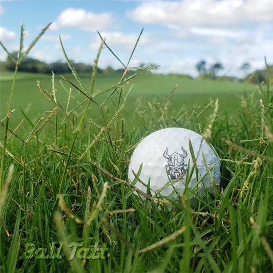 viking-in-grass-ball-tatt-golf-course - GOLF LEAGUE