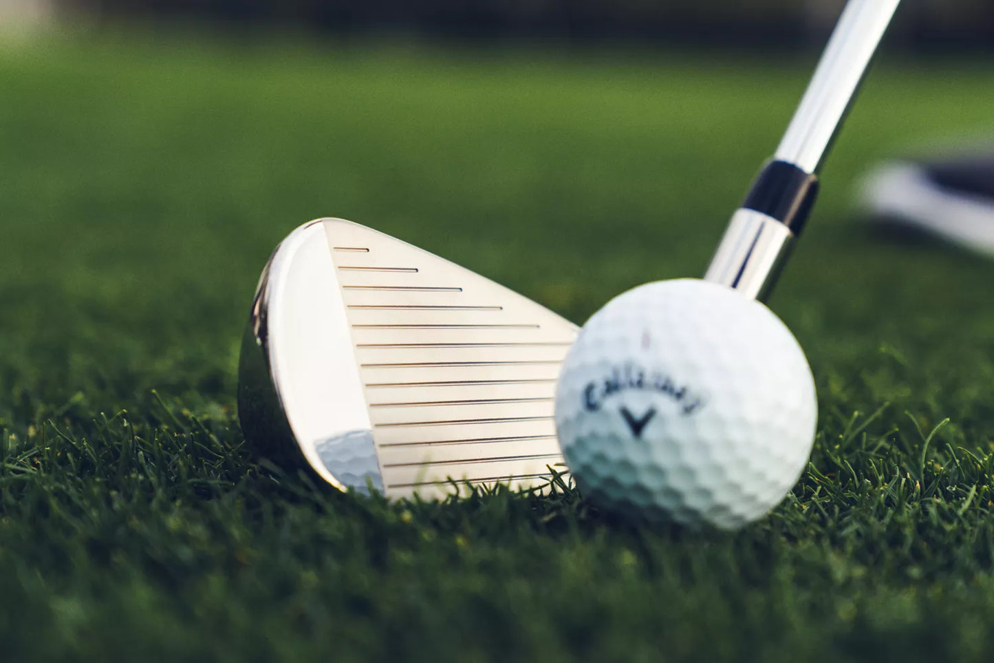 Callaway Paradym Ai Smoke HL Irons