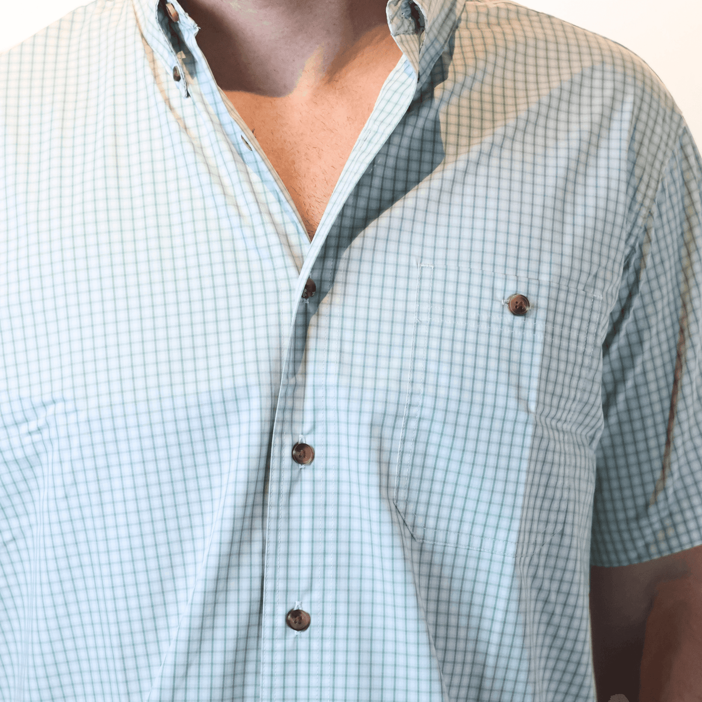 Western Button Down