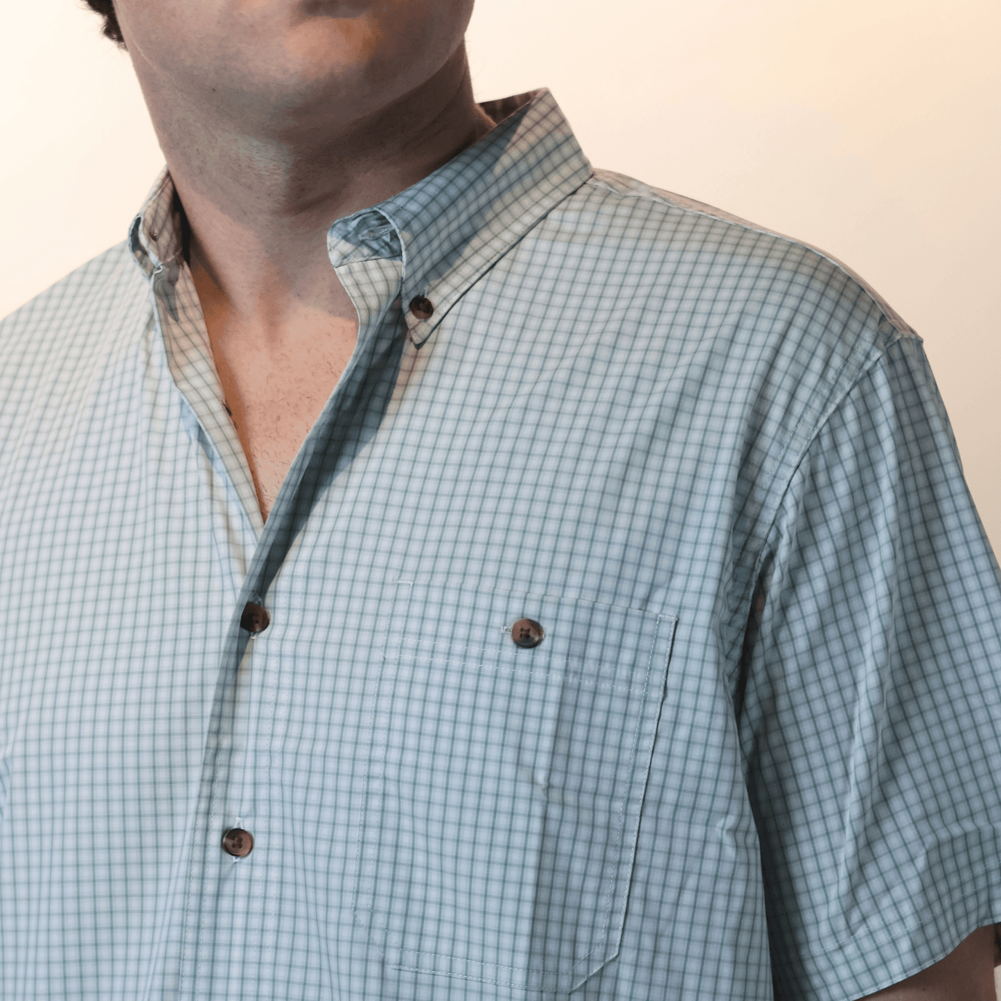 Western Button Down