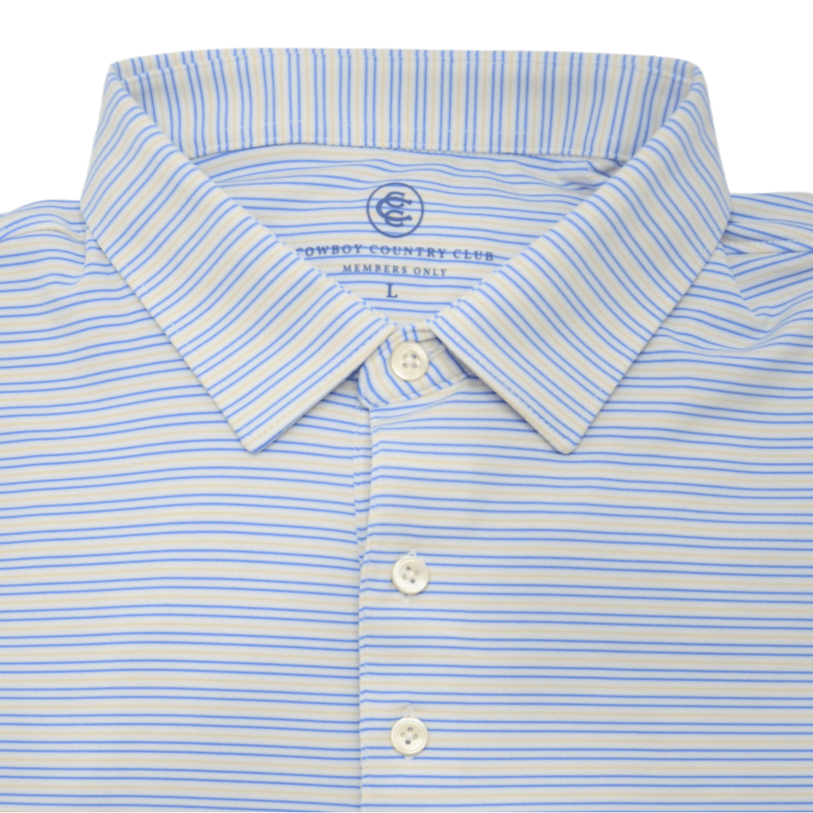Thin Stripe Polo