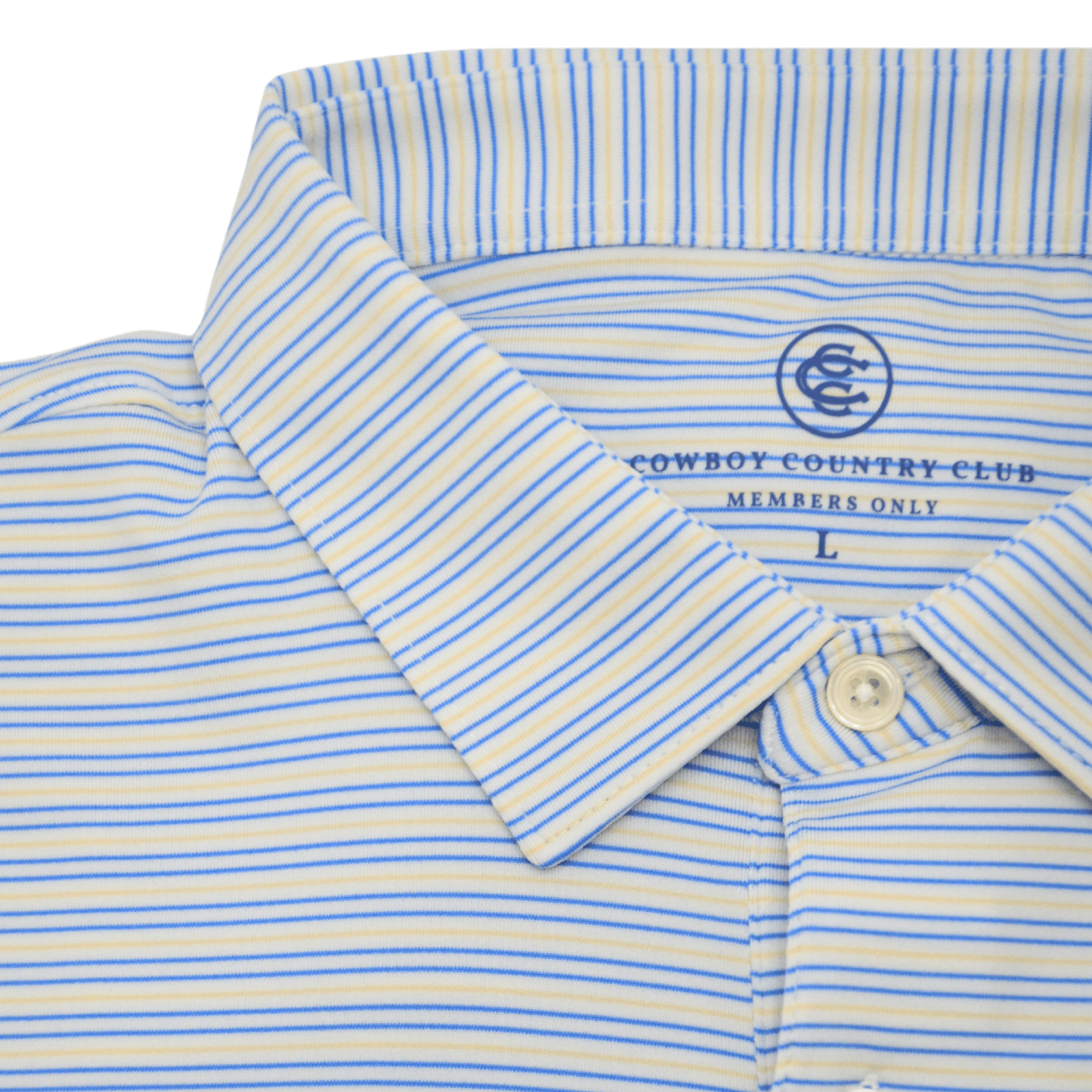 Thin Stripe Polo