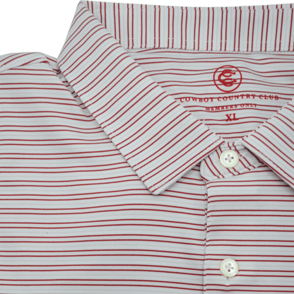 Thin Stripe Polo