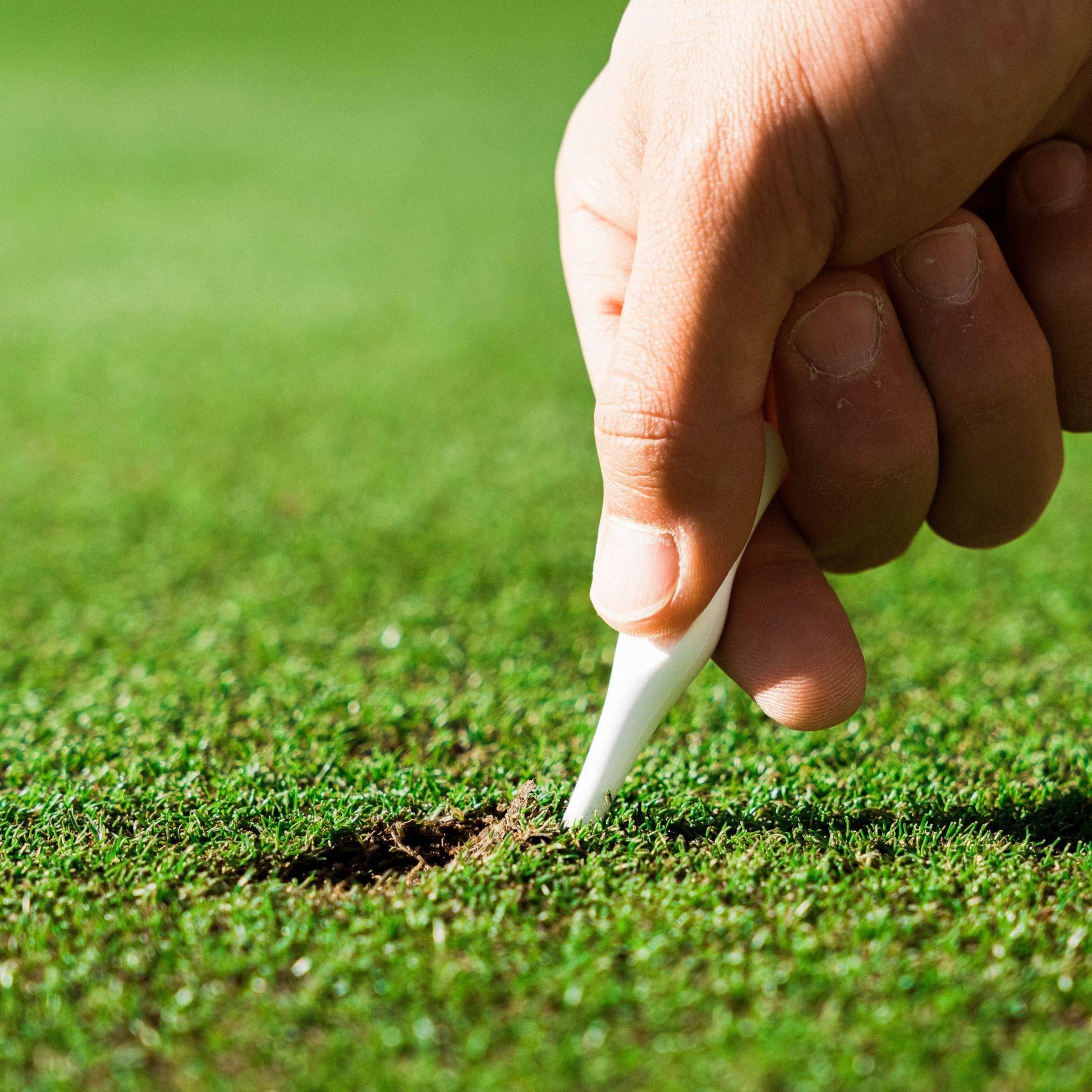 5_0b8f88dc-c85b-4266-ae8e-4626b3b82216 - GOLF LEAGUE