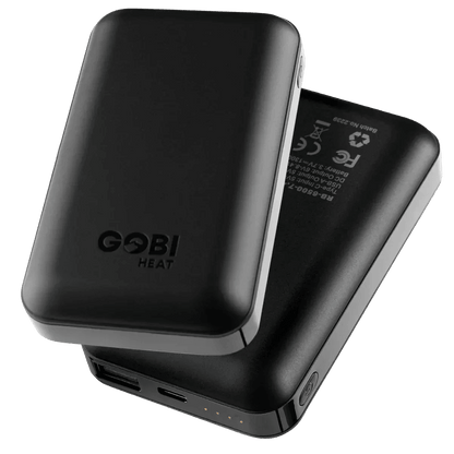 6500mAh_Battery_Pair - GOLF LEAGUE