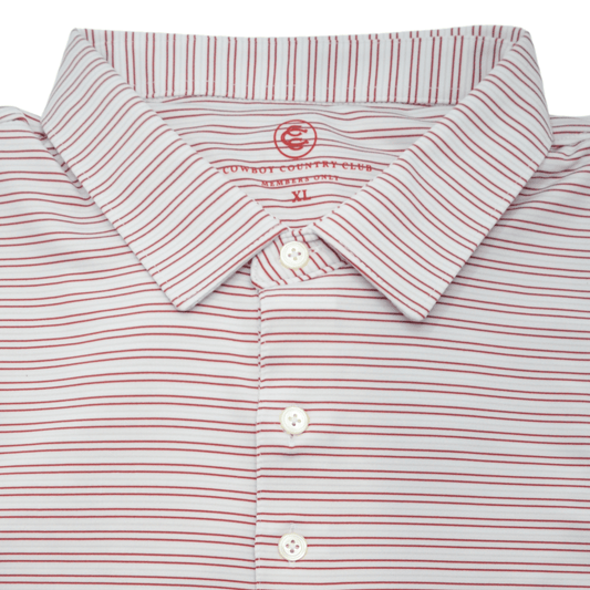 Thin Stripe Polo