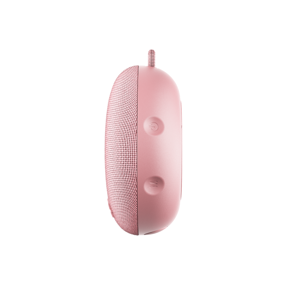 Dart 2.0 Speaker
