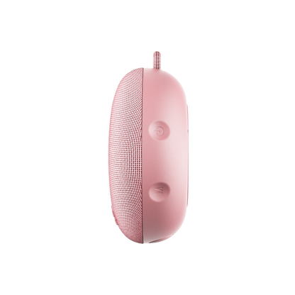 Dart 2.0 Speaker