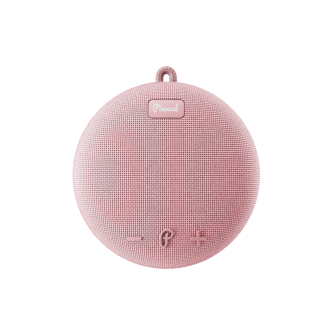 Dart 2.0 Speaker