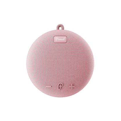 Dart 2.0 Speaker
