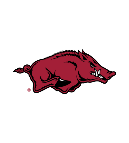 NCAA Golf Cart Accessories - Arkansas