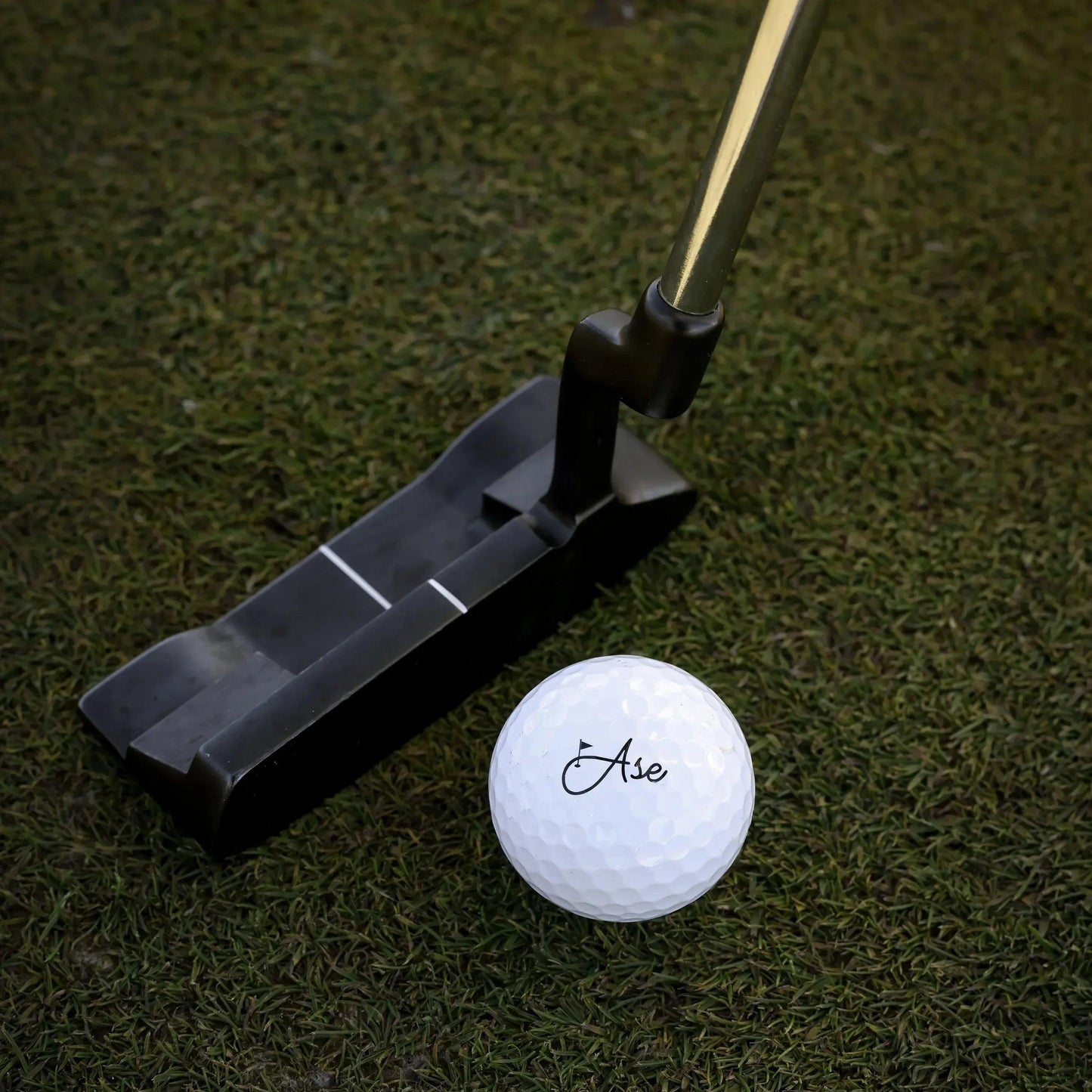 Ball_W_putter_logo_b859dcd9-d5af-4d2b-ac4d-c1a97340b181 - GOLF LEAGUE