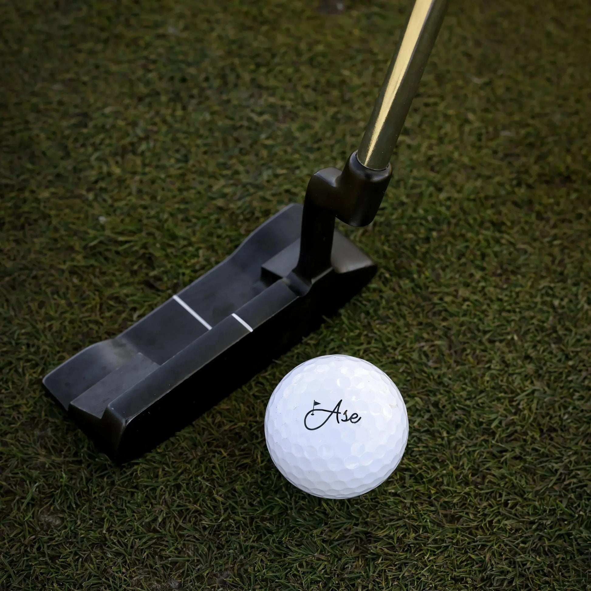Ball_W_putter_logo_b859dcd9-d5af-4d2b-ac4d-c1a97340b181 - GOLF LEAGUE