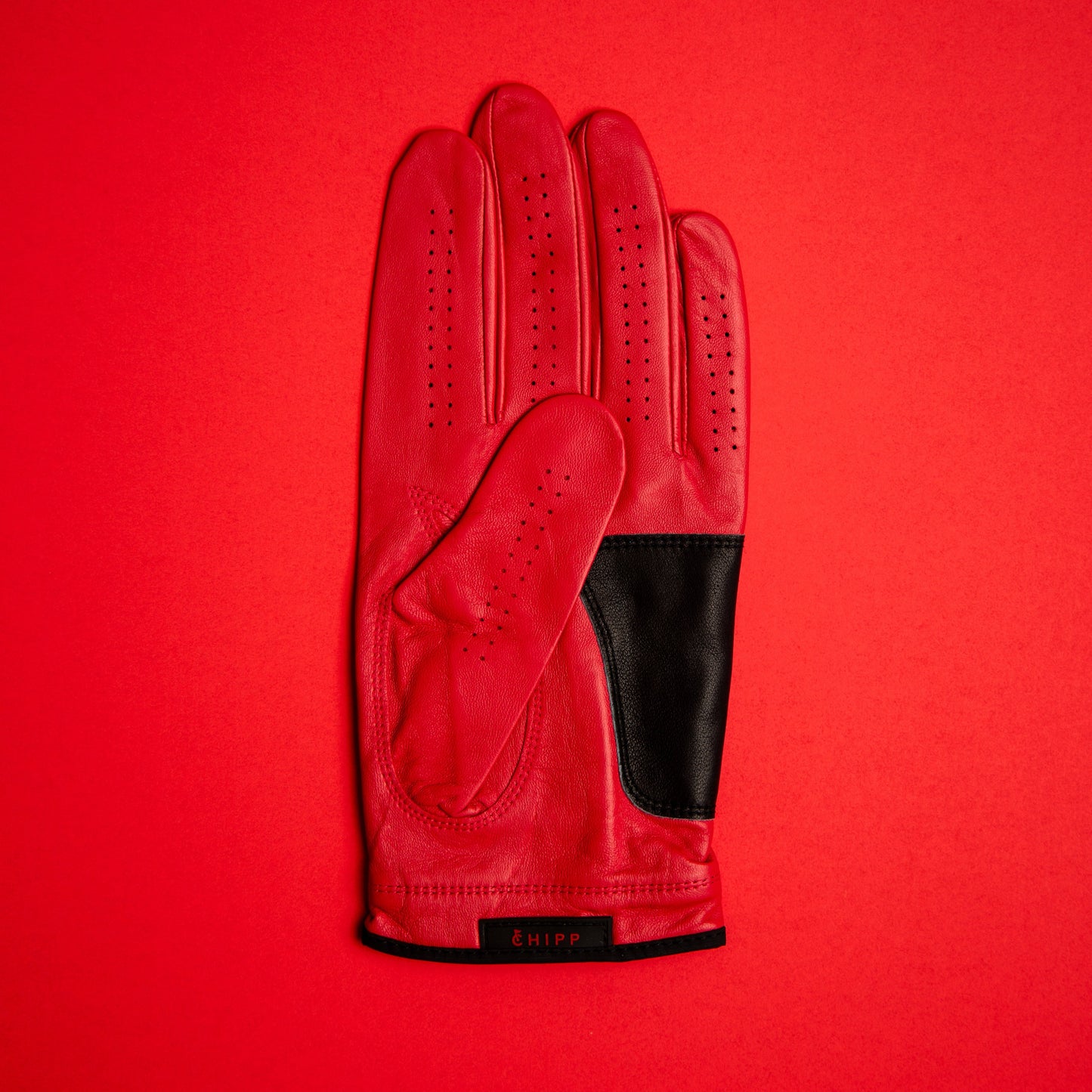 Spider Glove