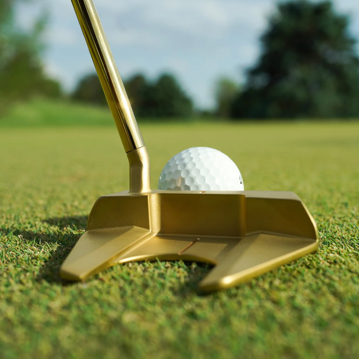 Lucky Golf Eclipse Gold Mallet Putter