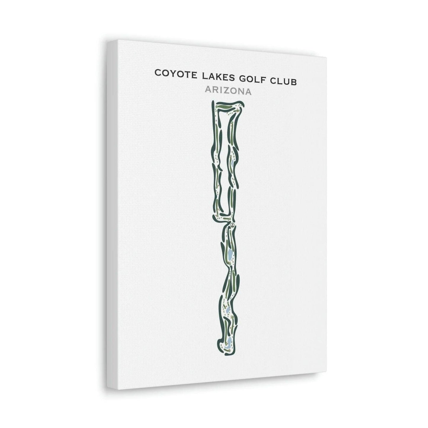 Coyote Lakes Golf Club, Arizona - Printed Golf Courses