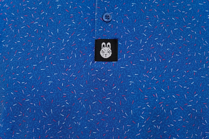 The Big Bang Polo