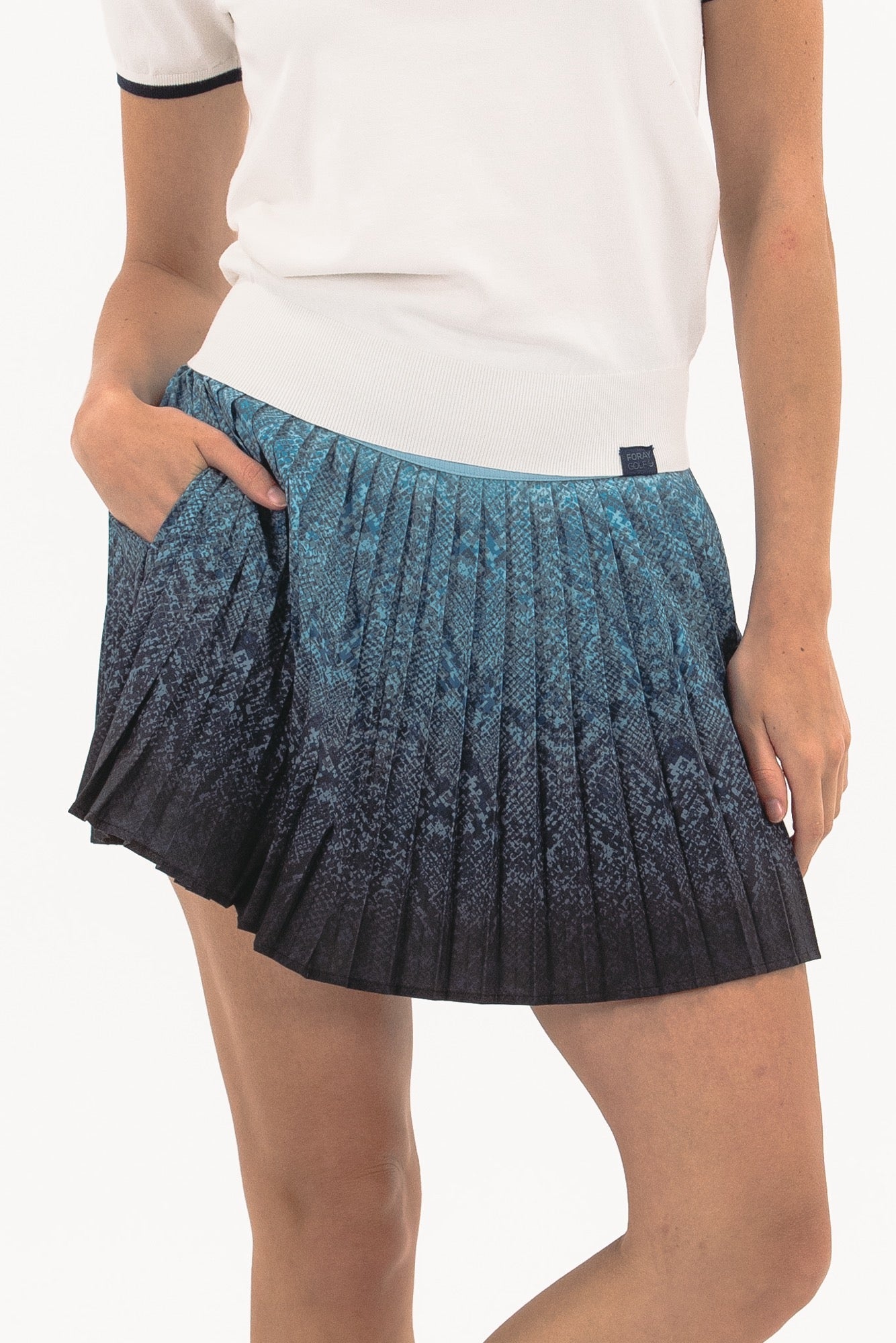 Ombre Snake Pleated Skirt