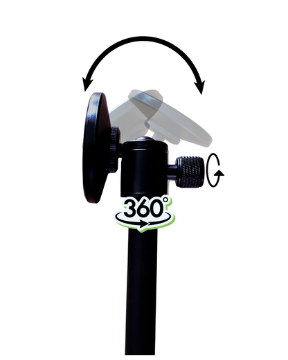 G-Bundle Three - GPOD Pauly P w/GPOD Base