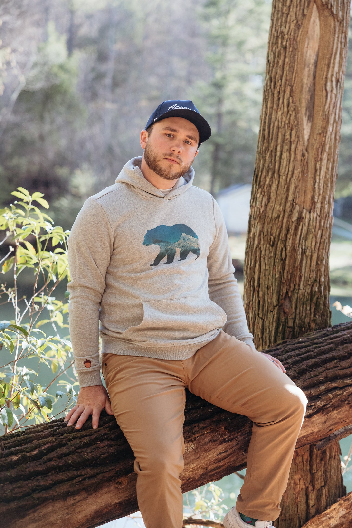 Alpine Bear Hoodie