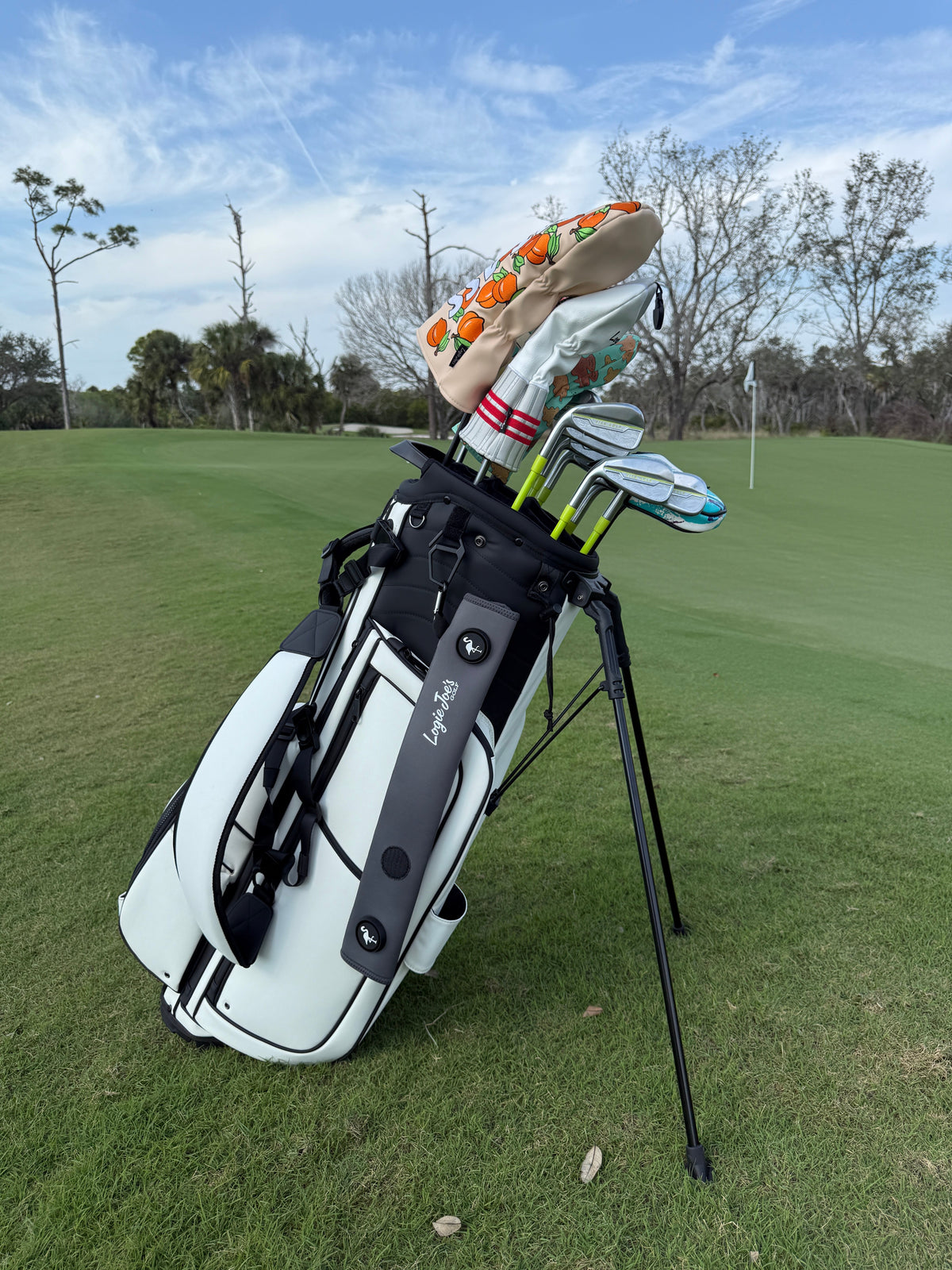Silver/Lime Magnetic Golf Cart Strap Sleeve | Neoprene Rubber | Dual Accessory Magnets | Glove Holder | Carabiner Bag Attachment | 18.5 x 3.5 in