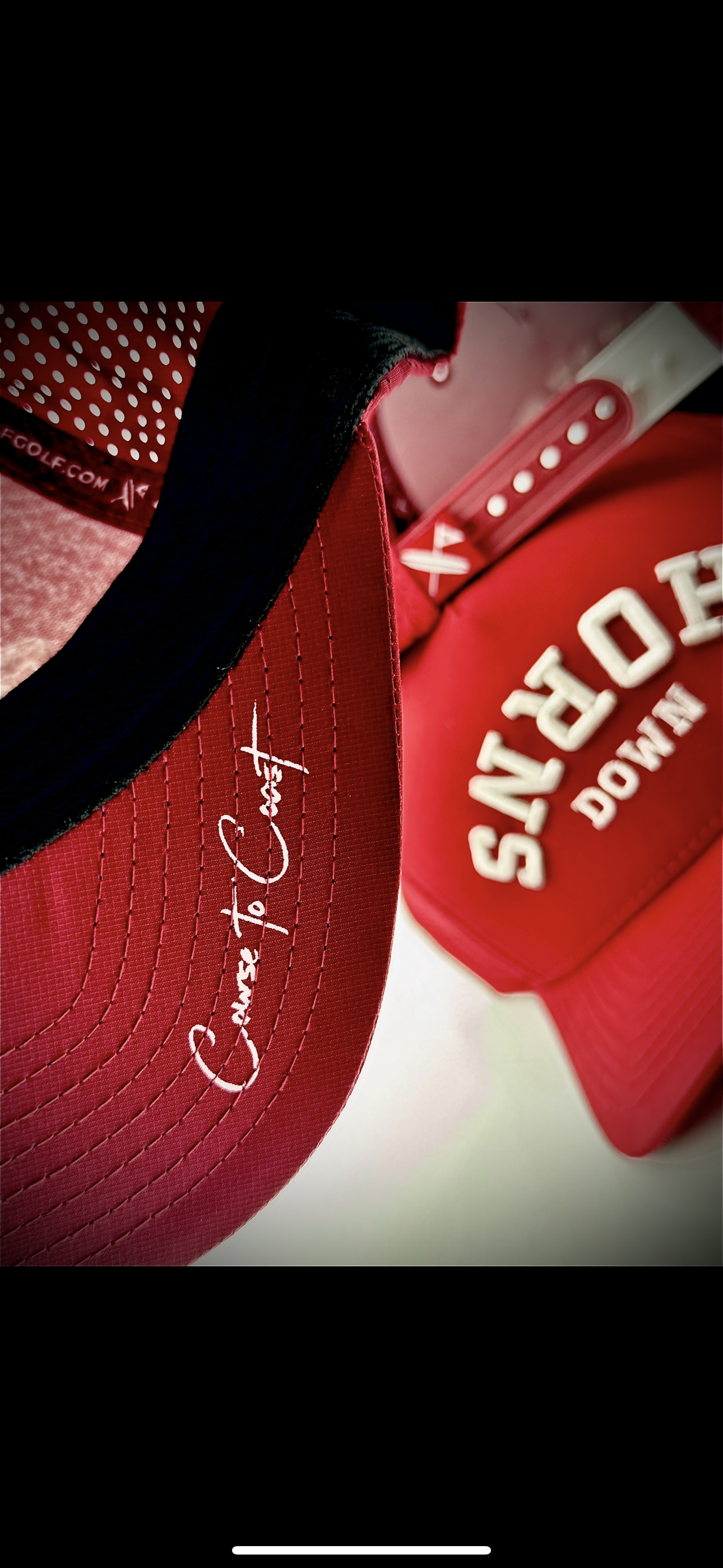 Havasu Arched-Horns Down