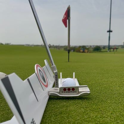 Edge Putting Rail & Quick Look Mirror Combo