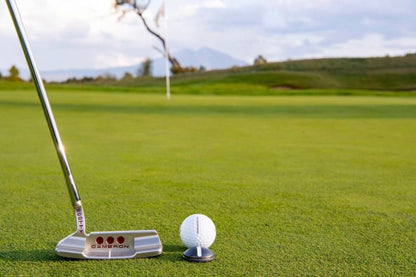 One Rail Smooth Ball Markers