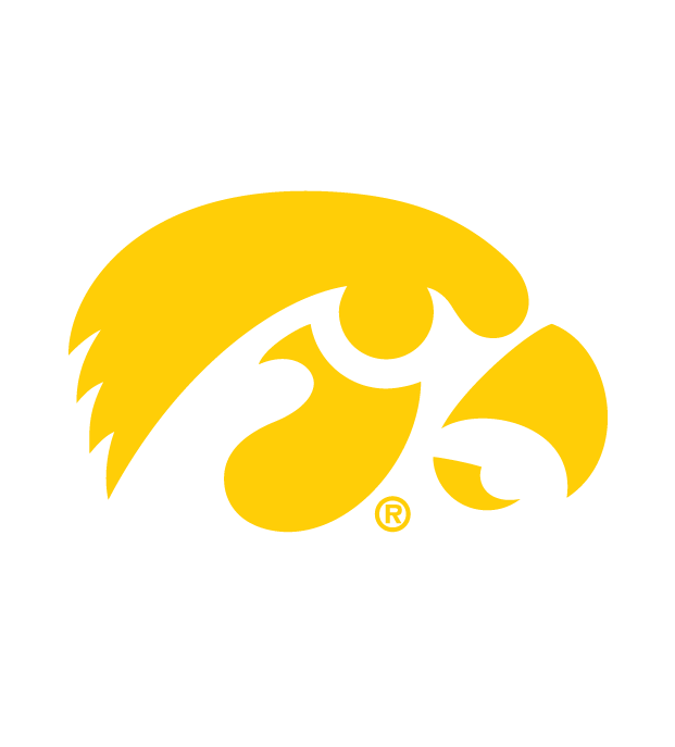 NCAA Golf Cart Accessories  - Iowa