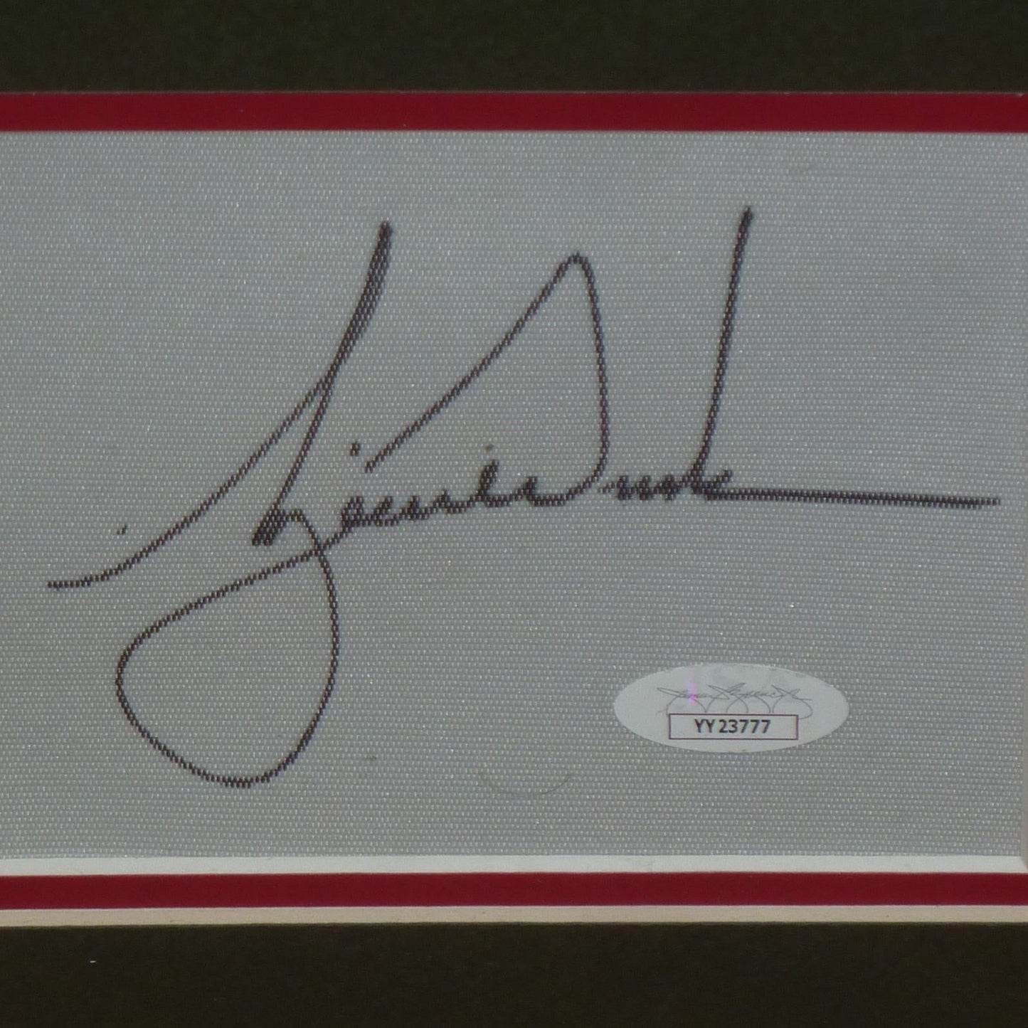 Tiger Woods Autographed 2019 Masters Champion Deluxe Framed Flag Piece with Signature - JSA