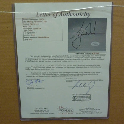 Tiger Woods Autographed 2019 Masters Champion Deluxe Framed Flag Piece with Signature - JSA