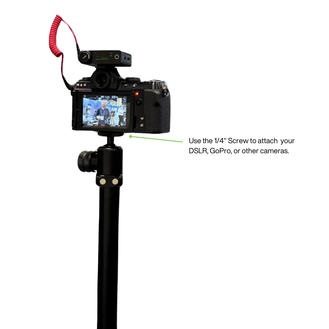 G-Bundle Three - GPOD Pauly P w/GPOD Base